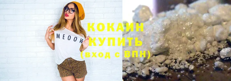 КОКАИН Fish Scale  где купить наркоту  Никольское 